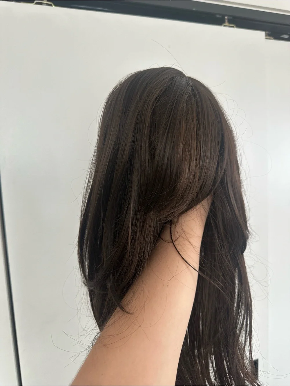 Women's Dark Brown Long Layered Wig - Natural Look NWT